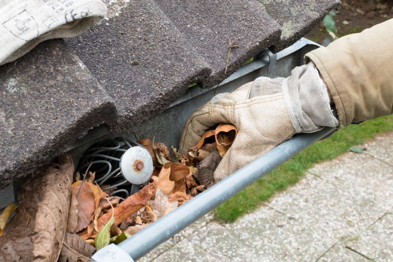 Gutter Cleaning